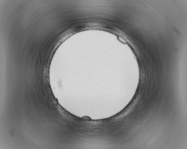X0000110921145200907301557