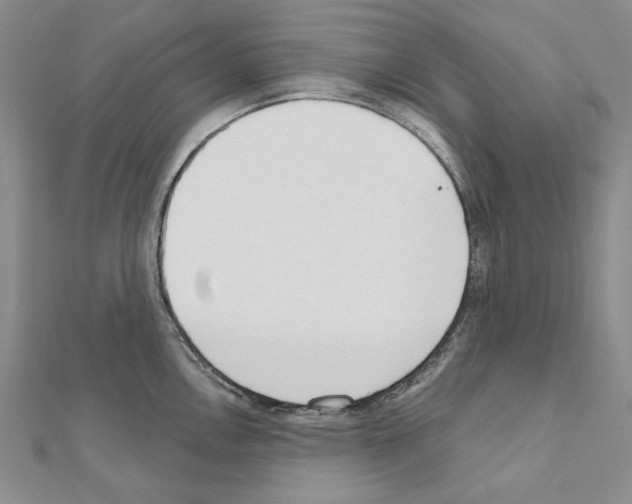 X0000110921146200907301557
