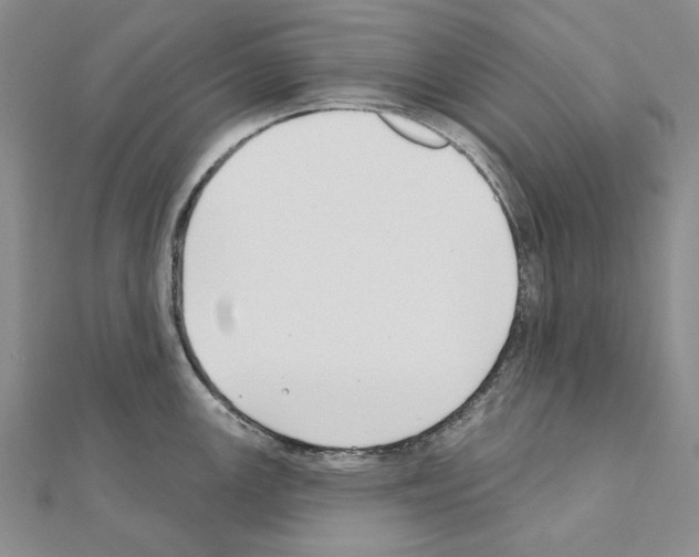 X0000110921147200907301557