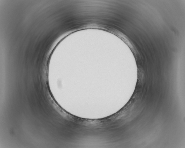 X0000110921148200907301557
