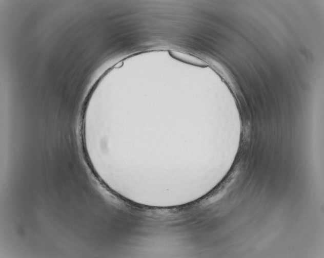 X0000110921149200907301557