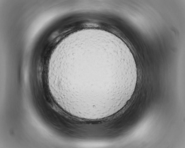 X0000110921151200907301557