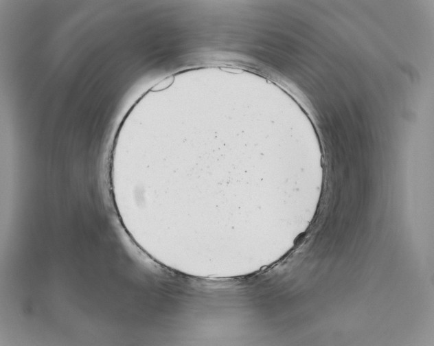 X0000110921152200907301557
