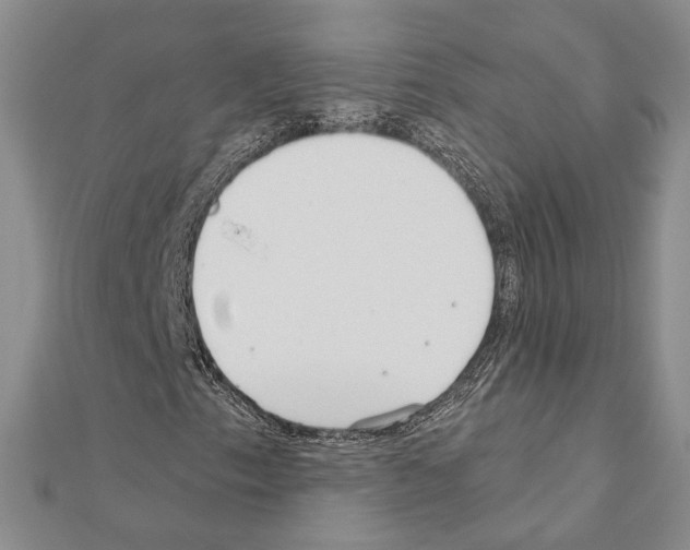 X0000110921153200907301556
