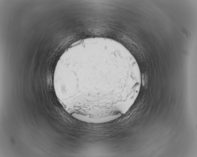 X0000110921155200907301556
