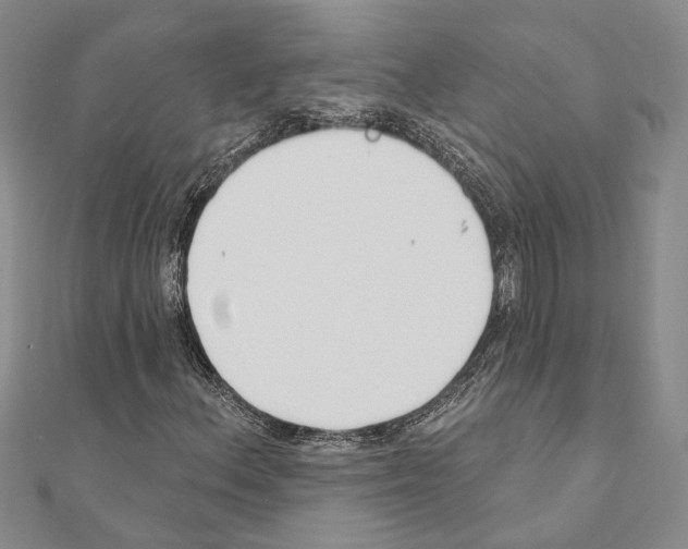 X0000110921156200907301556