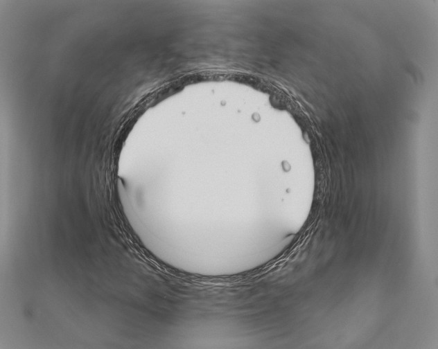 X0000110921157200907301556