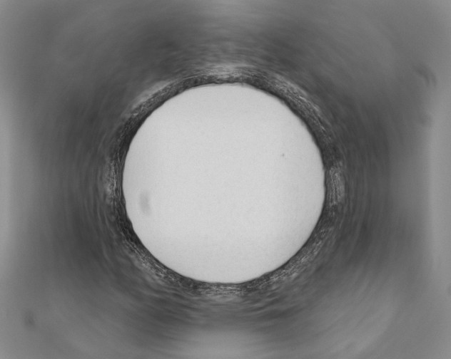 X0000110921158200907301556