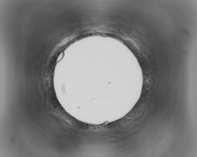 X0000110921159200907301556