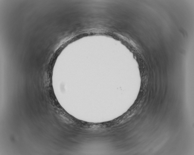 X0000110921160200907301556