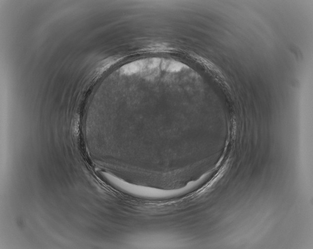 X0000110921161200907301556