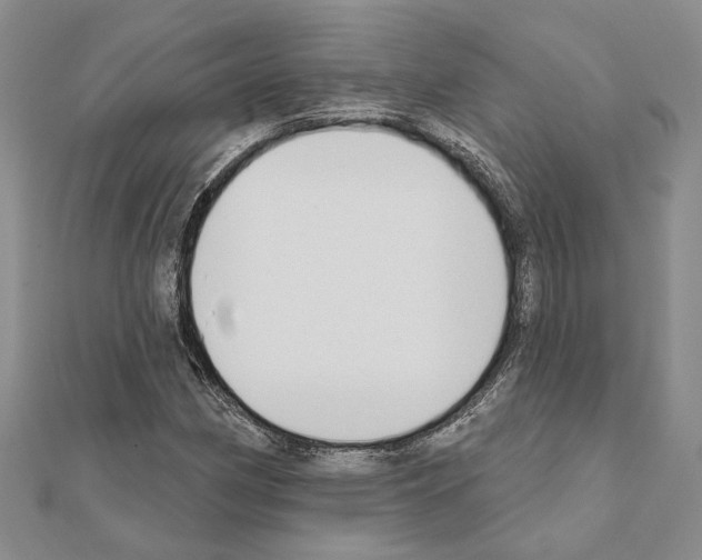 X0000110921162200907301556