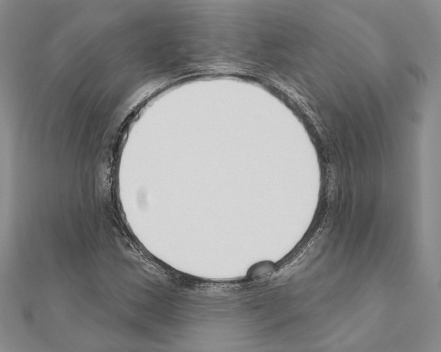 X0000110921163200907301556