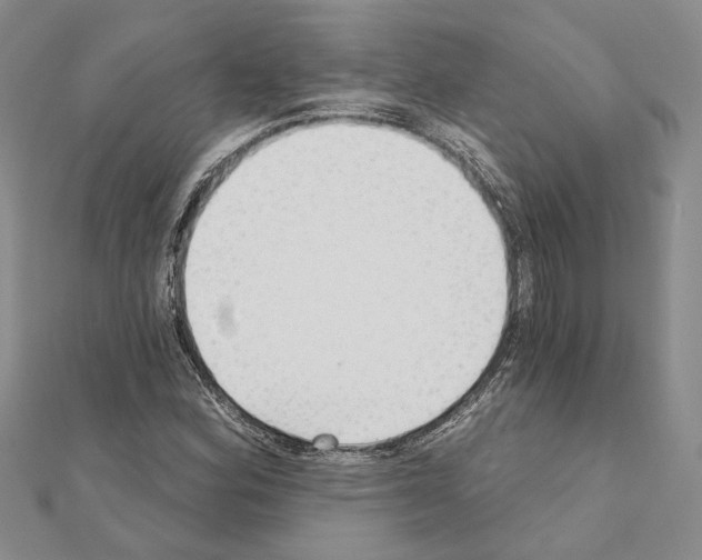 X0000110921164200907301556