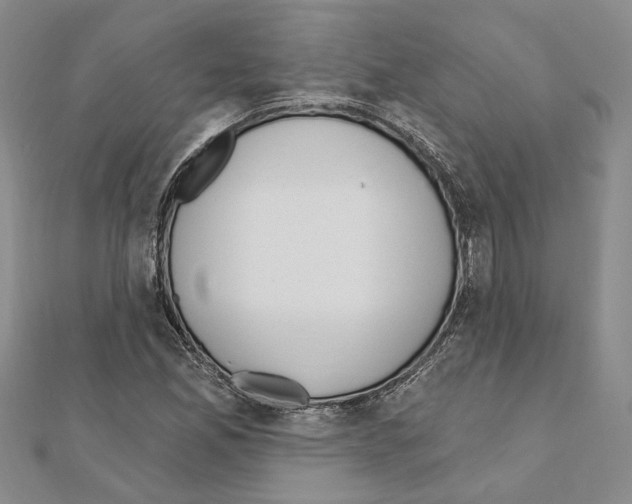 X0000110921165200907301556
