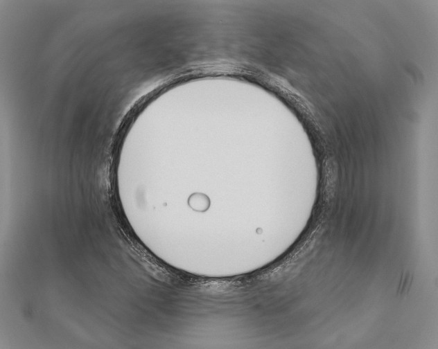 X0000110921166200907301556