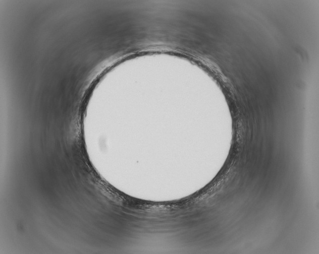 X0000110921167200907301556