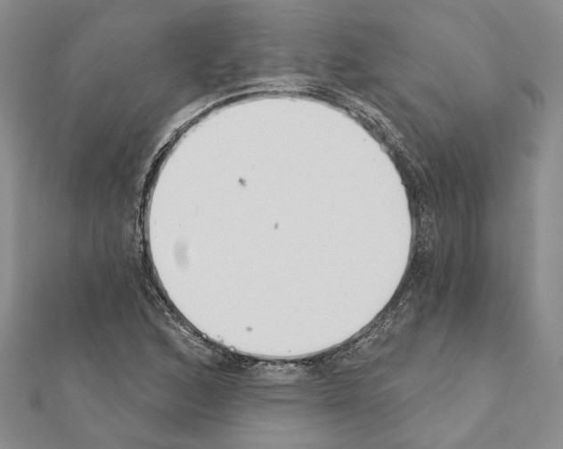 X0000110921168200907301556