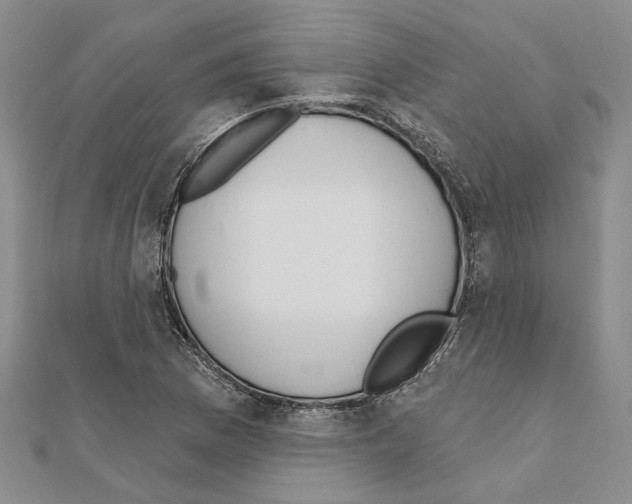 X0000110921169200907301556