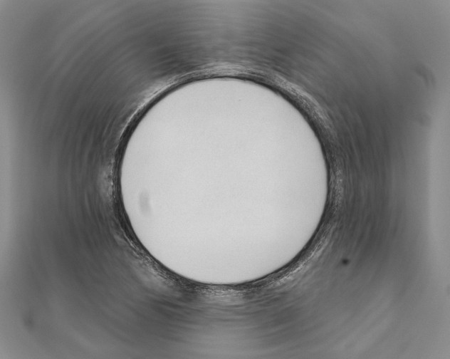 X0000110921170200907301556