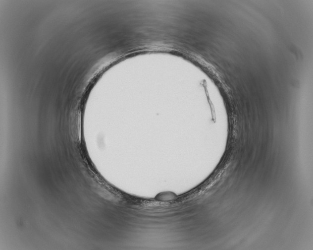 X0000110921171200907301556
