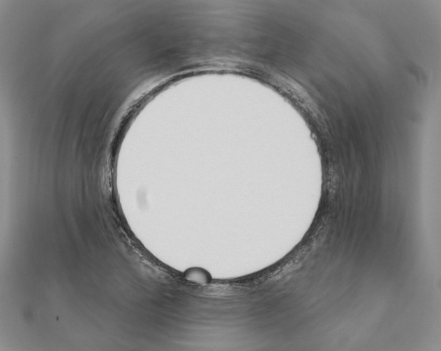 X0000110921172200907301556