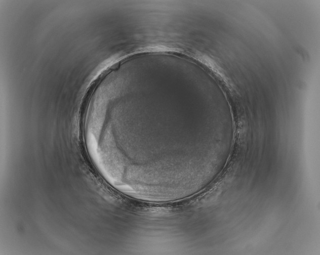 X0000110921173200907301556