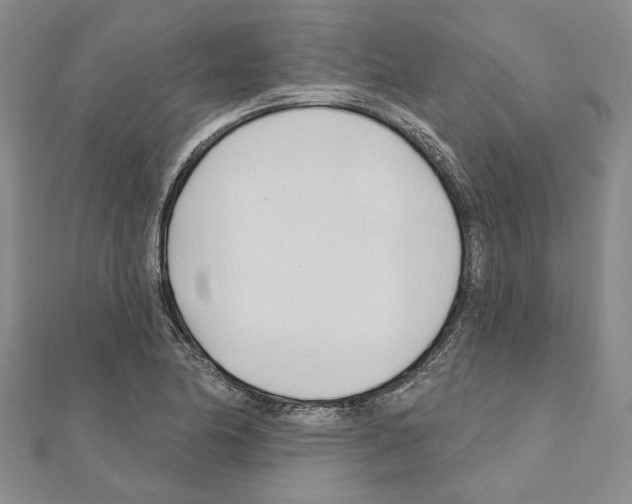 X0000110921174200907301556