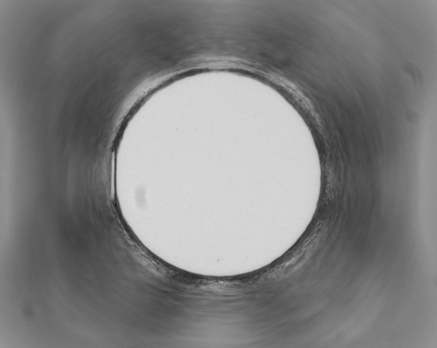 X0000110921175200907301556