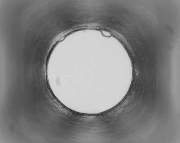 X0000110921176200907301556