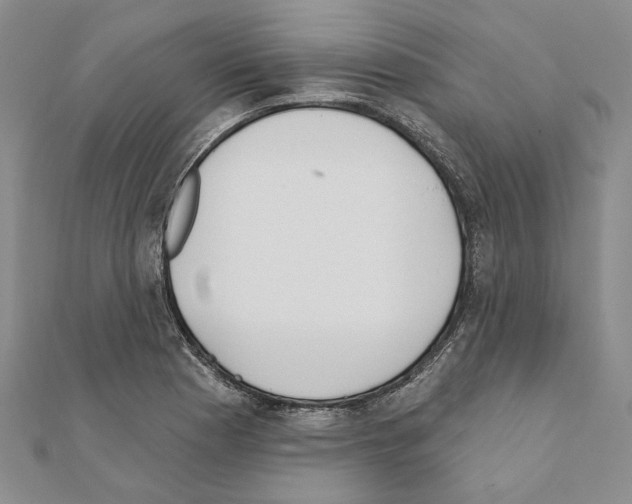 X0000110921177200907301556