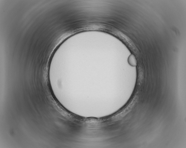 X0000110921178200907301556