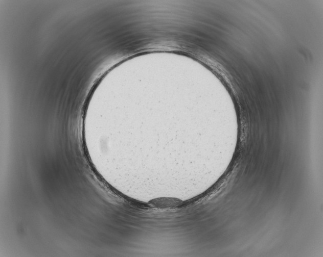 X0000110921179200907301556