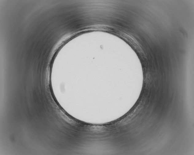 X0000110921180200907301556