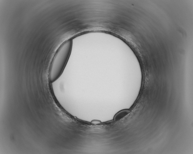 X0000110921181200907301556