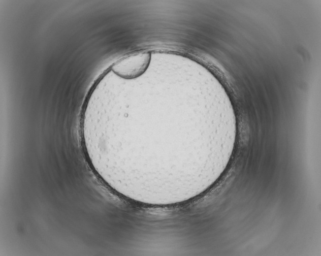 X0000110921182200907301556