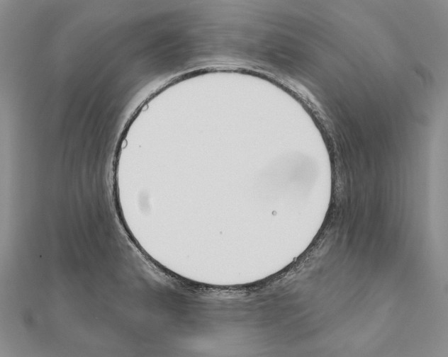 X0000110921183200907301556
