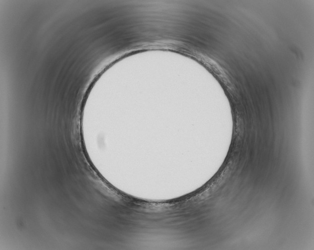 X0000110921184200907301556