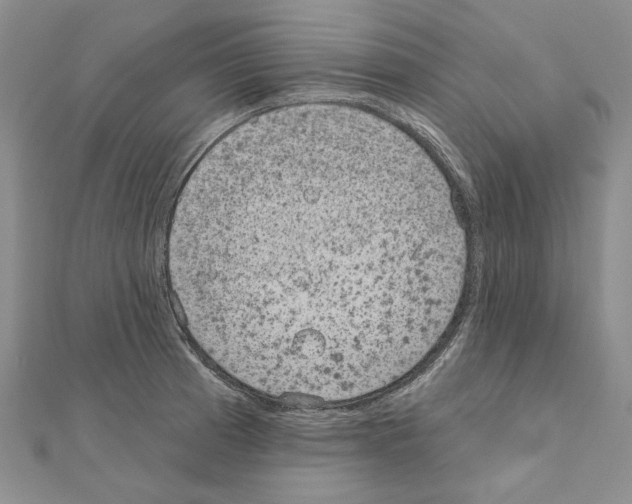 X0000110921185200907301556