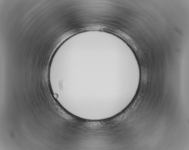 X0000110921186200907301556