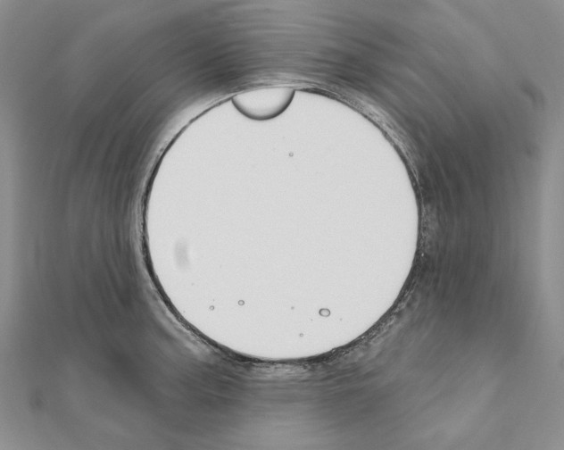 X0000110921187200907301556