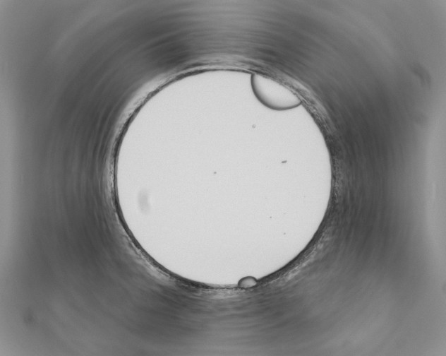 X0000110921188200907301556