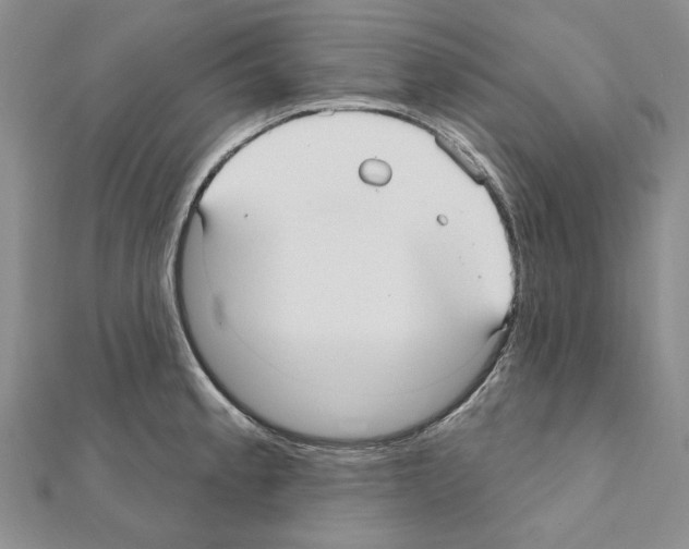 X0000110921189200907301556