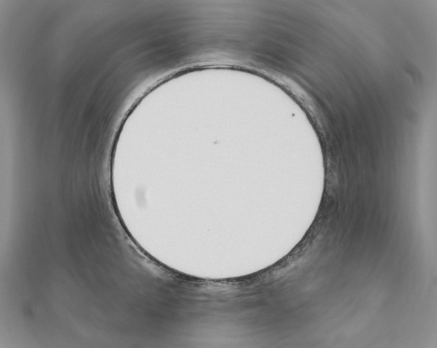 X0000110921191200907301556