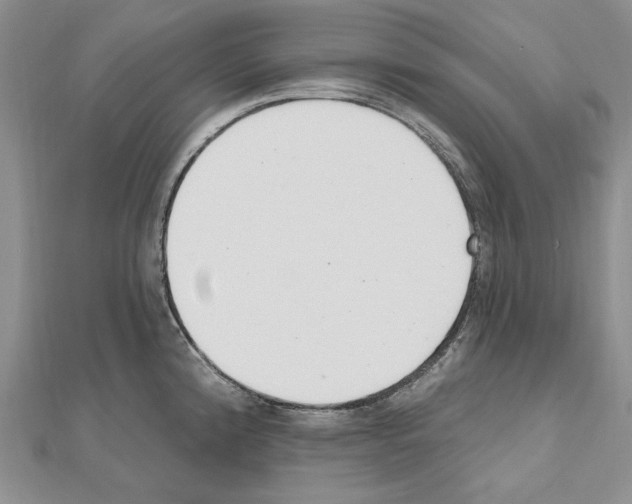 X0000110921192200907301556