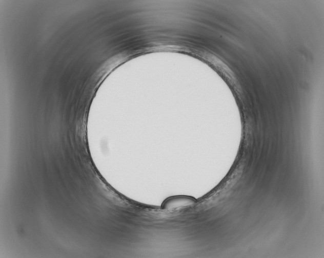 X0000110921193200907301556