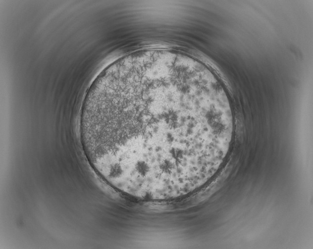 X0000110921194200907301556