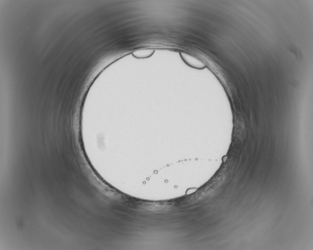 X0000110921195200907301556