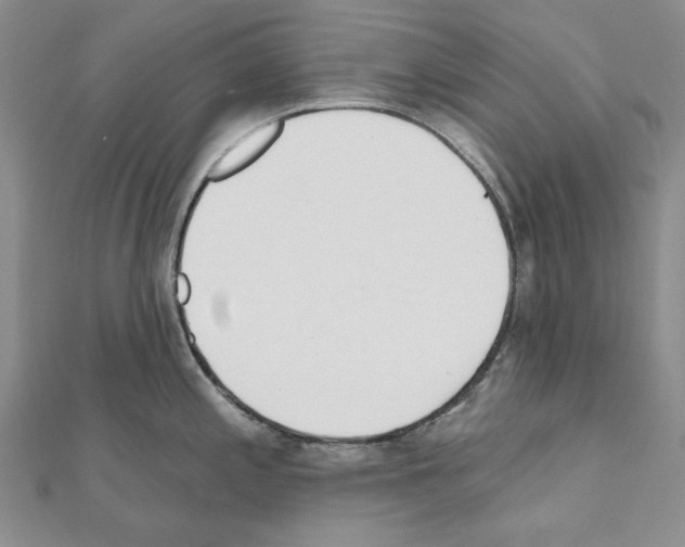 X0000110921197200907301556