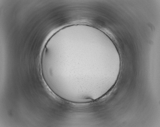 X0000110921200200907301556